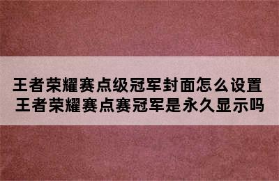 王者荣耀赛点级冠军封面怎么设置 王者荣耀赛点赛冠军是永久显示吗